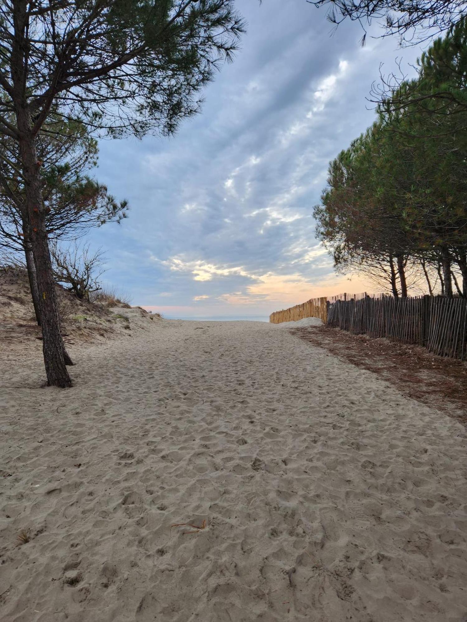 Le Peche Mignon - Appart 1 - Locationlatamarissiere Agde Exterior foto